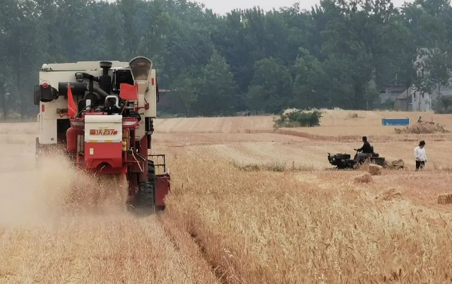 疫情之后 农村为何掀起了“盖房潮”？