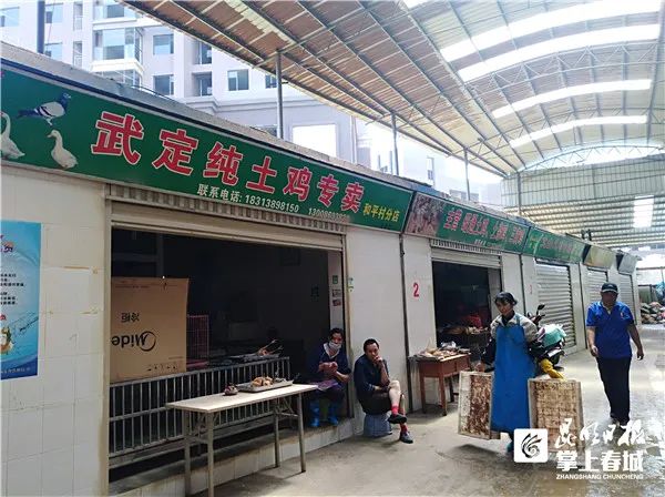 活禽销售