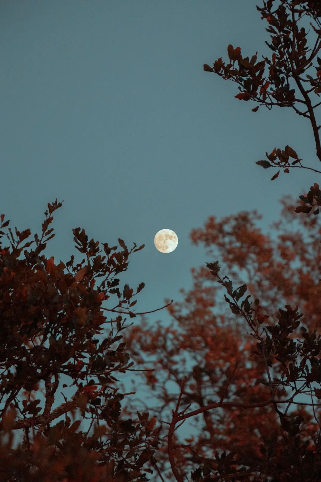 这天夜里,他望着天上的明月,想到千里之外的妻子儿女,相思之情难以