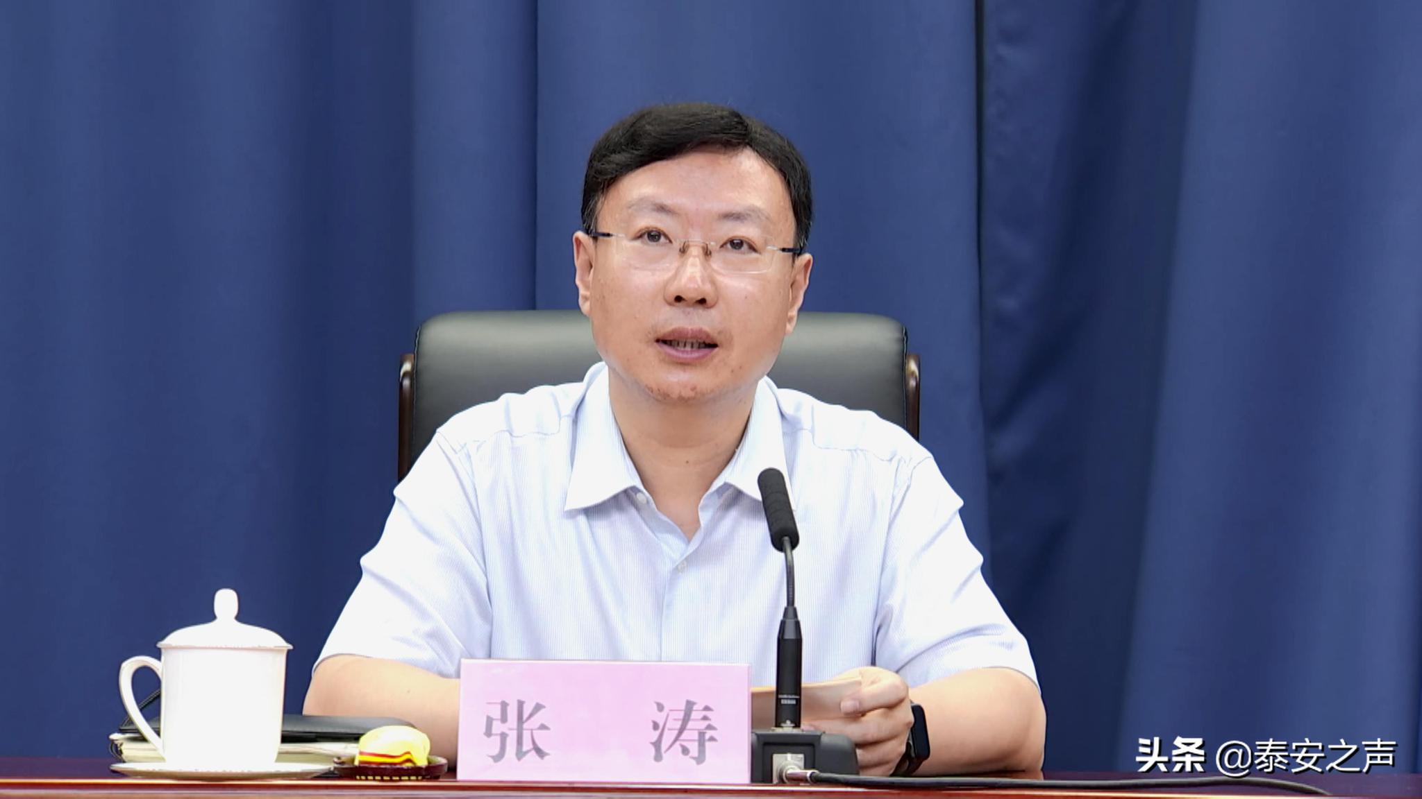 张涛调度泰安市优化营商环境工作