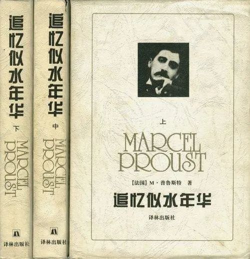 《追忆似水流年华》,一部读不下去的经典|普鲁斯特|追忆似水年华_新浪