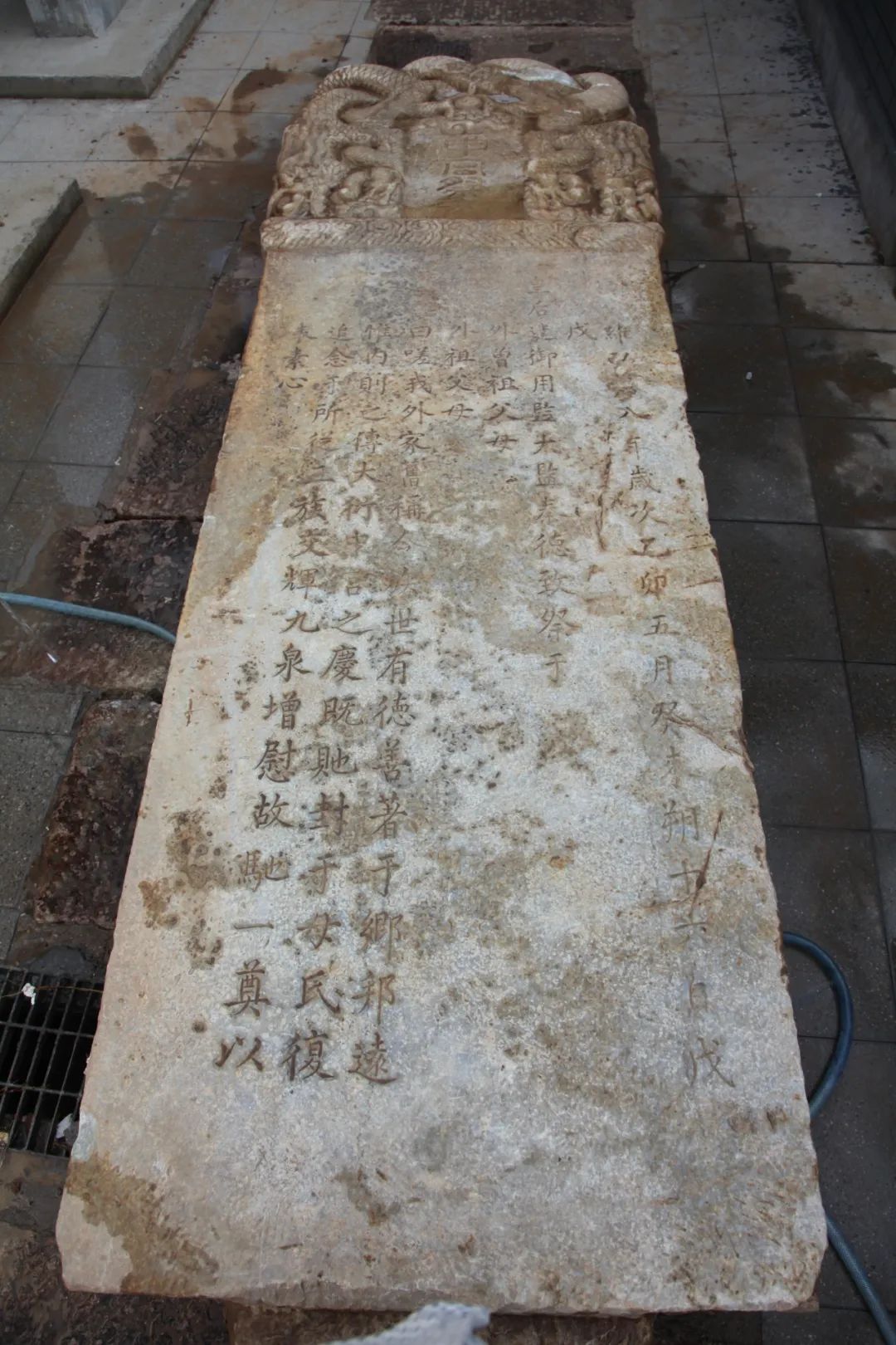 沧州运河边真挖出宝了!附视频