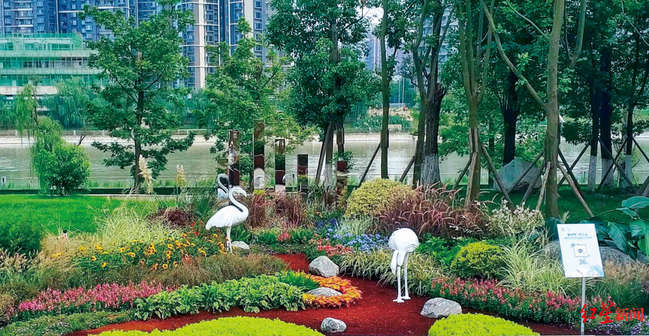 公园城市花境竞赛获奖名单出炉快来江滩公园桂溪生态公园打卡