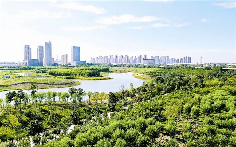 串起津城居民的绿色生活 探访天津双城之间绿色生态屏障
