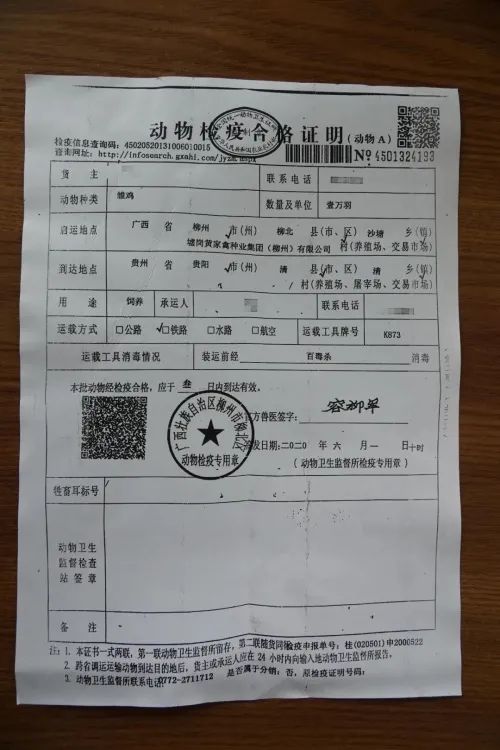 长假将至宠物如何乘车陪游最全托运宠物指南来了