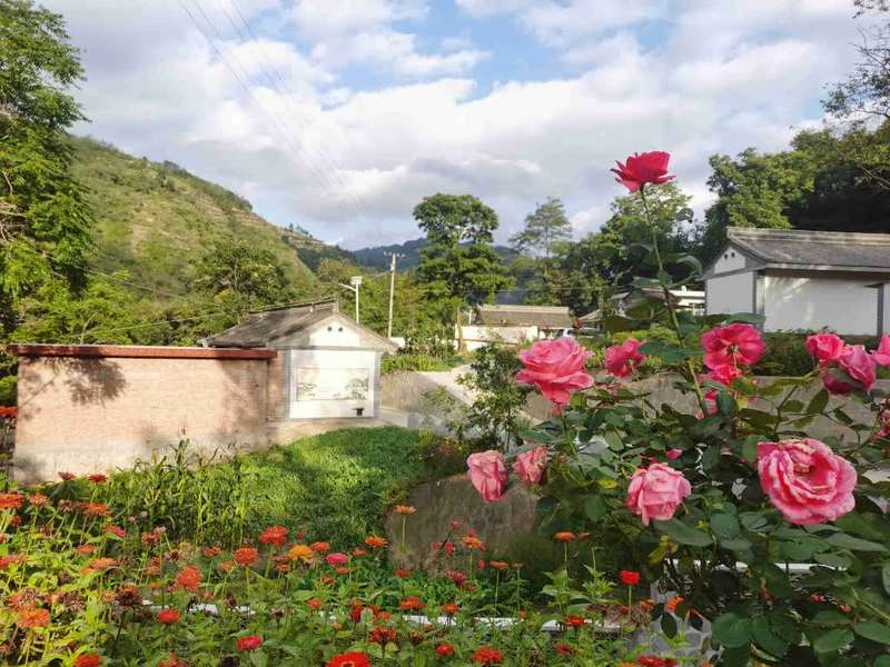 甘肃西和最后一批贫困户信心满满要摘帽