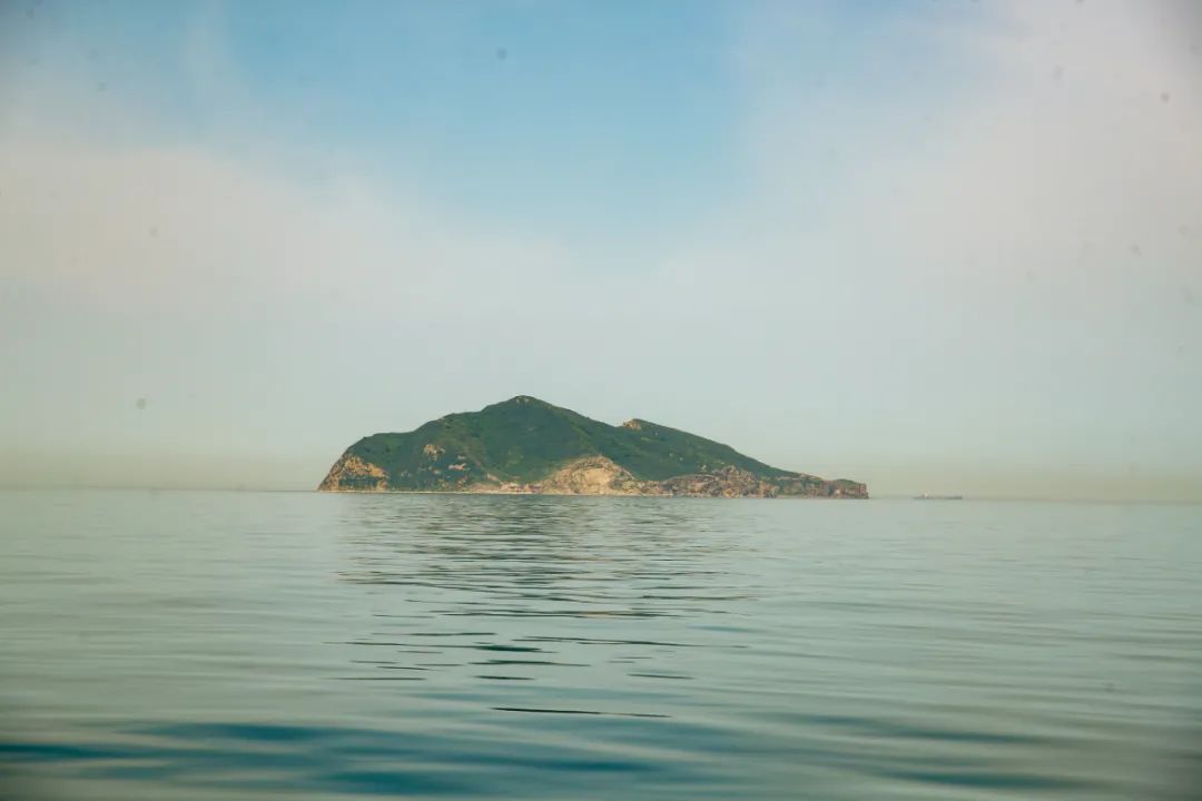 虎头湾蛇岛图片