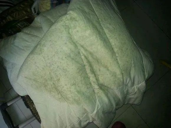 200天后久别重返你会有怎样的惊喜