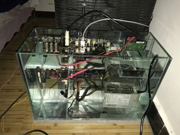 我在百度图拉丁吧看到鲁班与达闻西齐飞