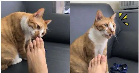 脚臭|臭味|汗液_新浪新闻