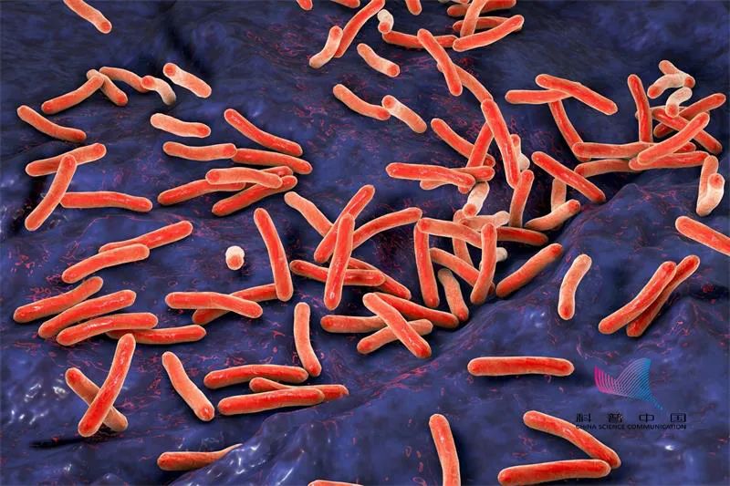 《不可忽视的食源性致病菌—副溶血性弧菌》统计显示,近年来,副溶血性