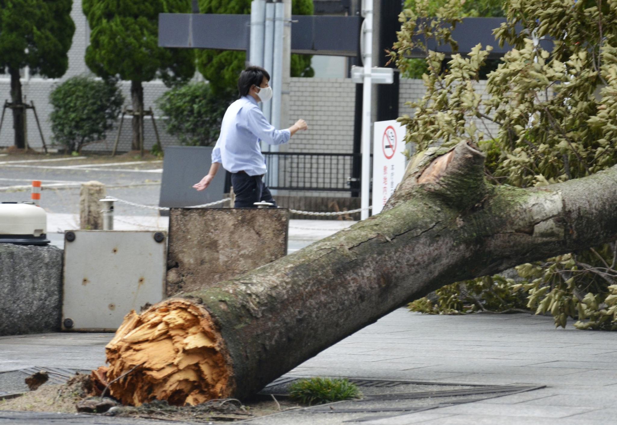 10号台风"海神"致日本至少52人受伤