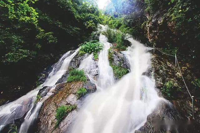2020江西森林旅游节 | 大余丫山:山水秘境美如画