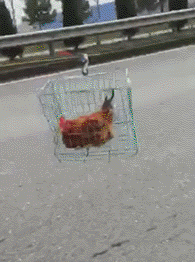 指责年轻人不够努力是一种病