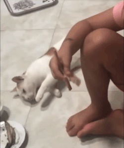 指责年轻人不够努力是一种病