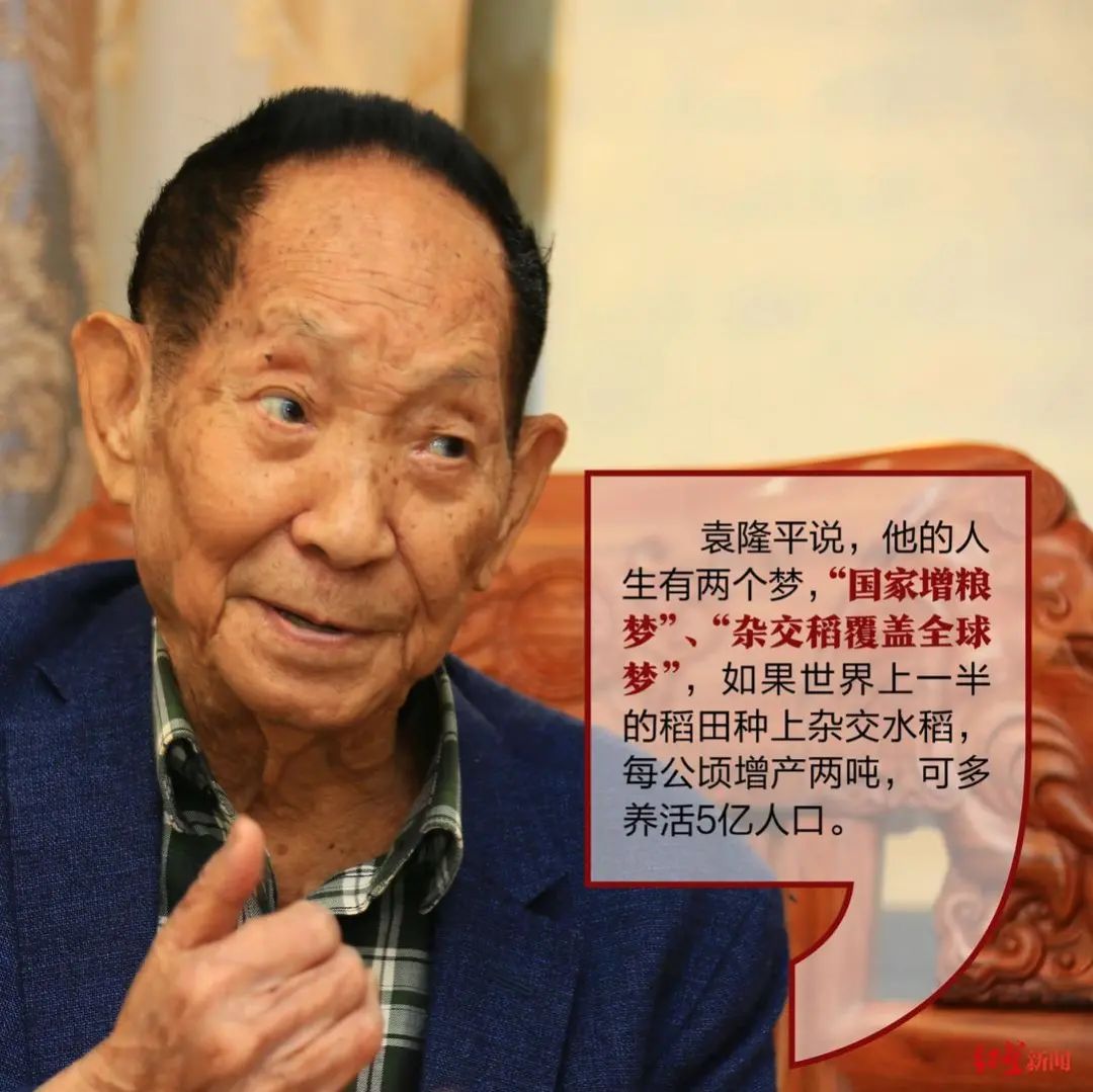 今天是他90岁生日!|袁隆平_新浪新闻