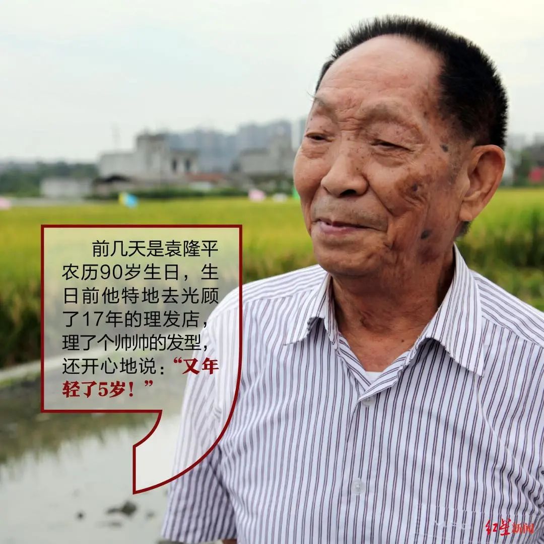 今天是他90岁生日!|袁隆平_新浪新闻