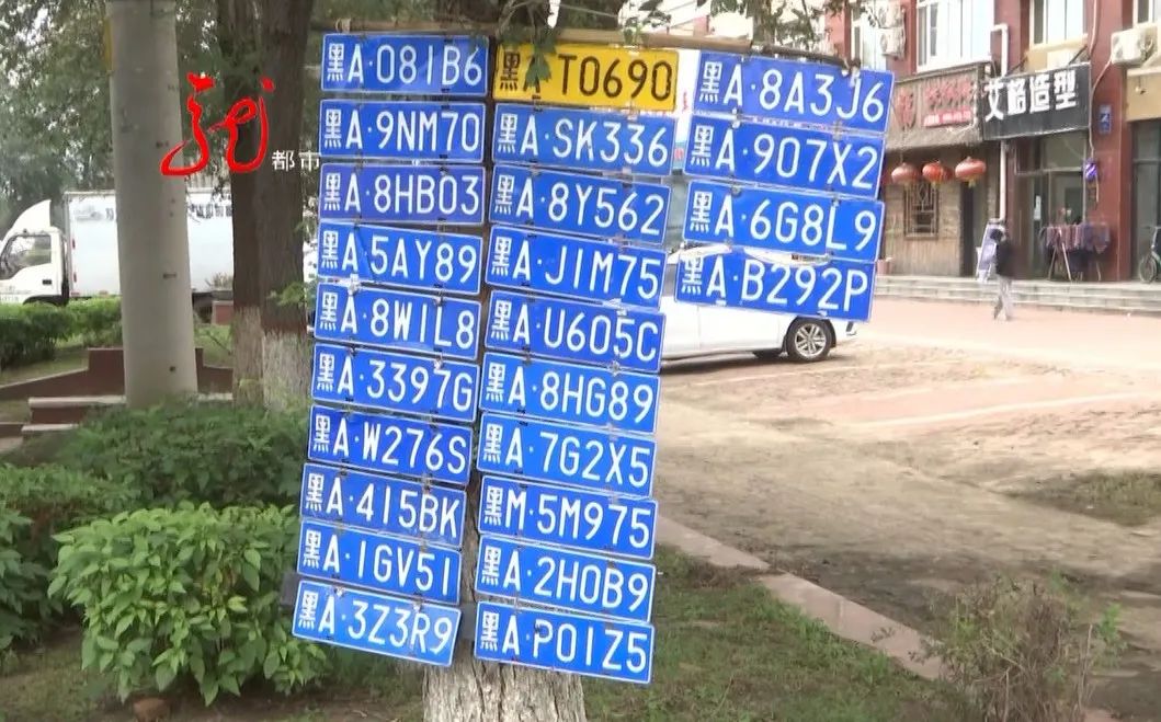 一起"上了树".24个车牌却脱离了车主,但