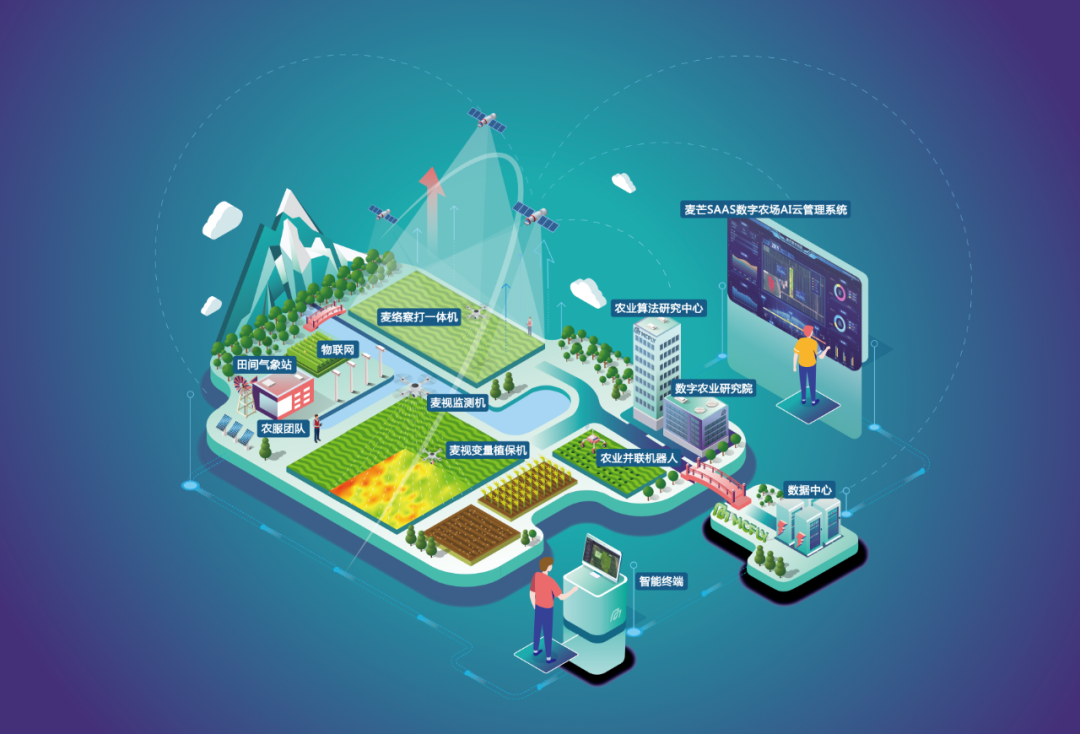 中国农业「新基建」:麦飞近地空可视化农情图谱__财经头条