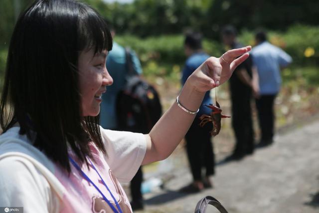 真上班摸鱼！重庆一企业农场开花结果 员工收稻子抓鱼晒秋收休闲区蓝鸢梦想 - Www.slyday.coM