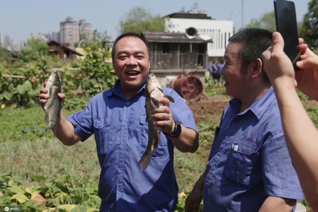 真上班摸鱼！重庆一企业农场开花结果 员工收稻子抓鱼晒秋收休闲区蓝鸢梦想 - Www.slyday.coM