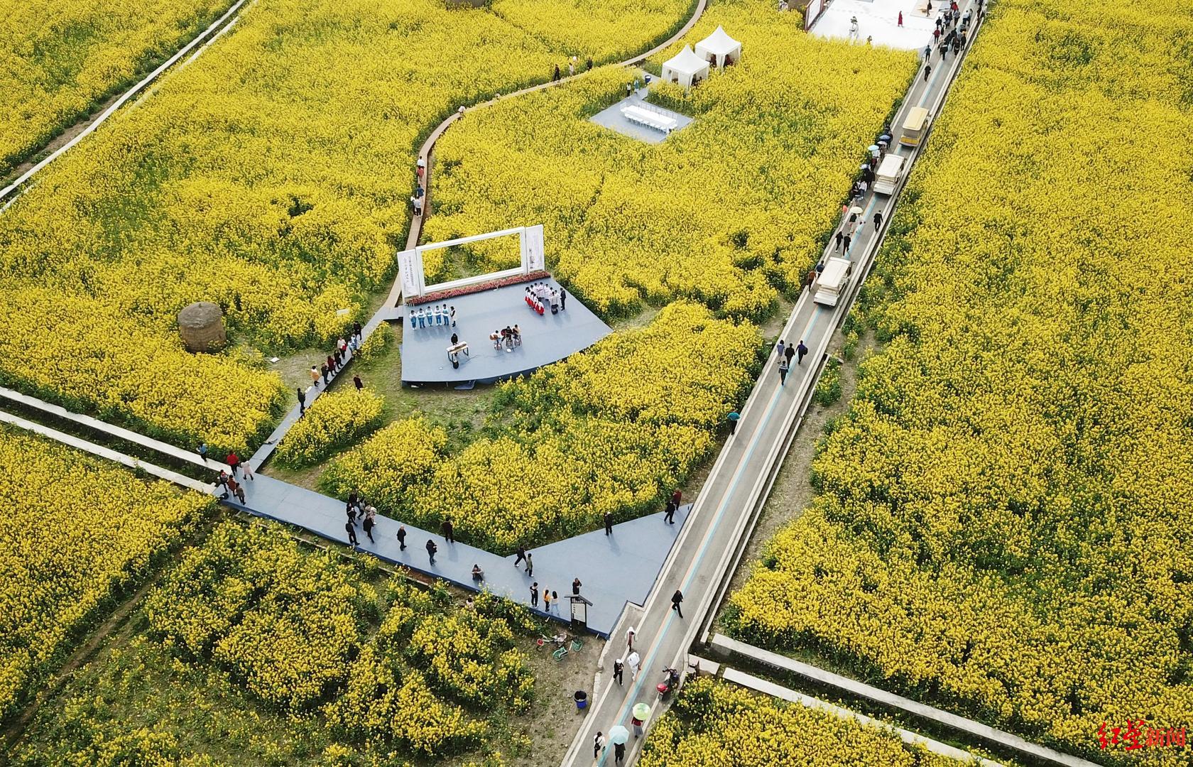 都江堰柳街镇七里诗乡的油菜花海景观 资料图