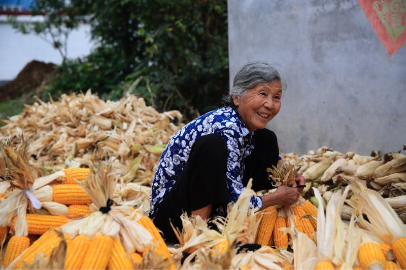 可恩最美微笑|是丰收年!山区的大娘露出最质朴的笑容