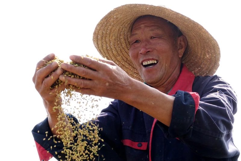 可恩最美微笑|是丰收年!山区的大娘露出最质朴的笑容