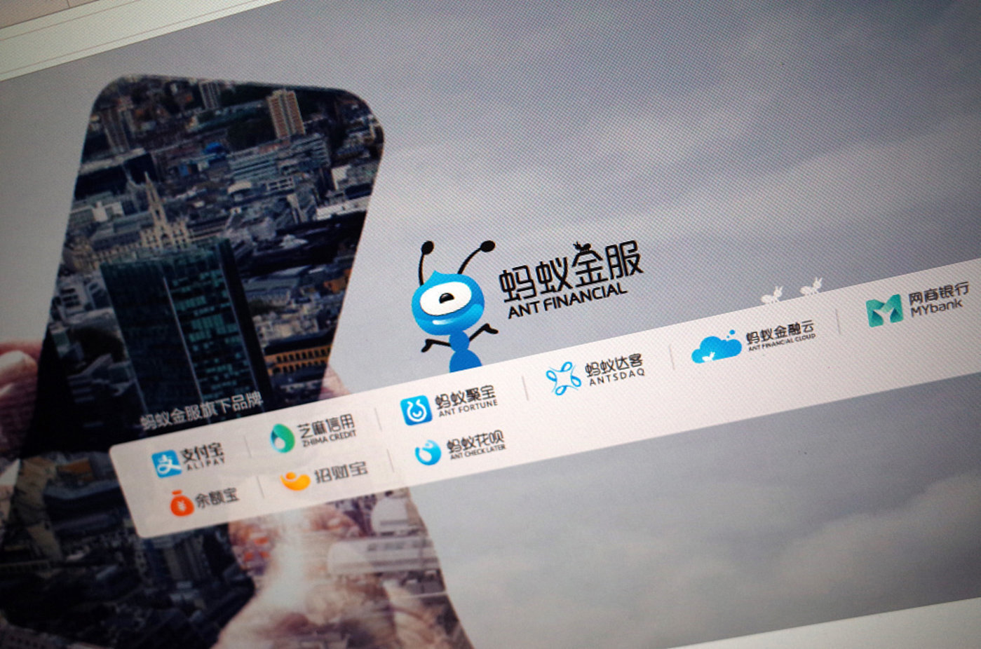 成都蚂蚁集团SEO 新浪网