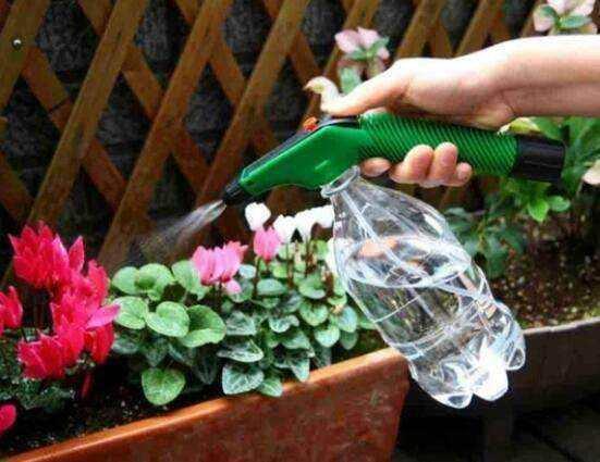 秋天养花不能瞎浇水,几种养花水不能用,很容易浇一盆死一盆|养花|植物