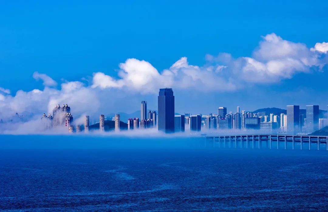 大连放大招,又高又新!