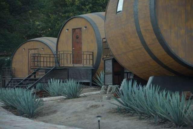 现代"酒池肉林"?住在墨西哥酒桶里,再烤个肉就"有那味儿了"