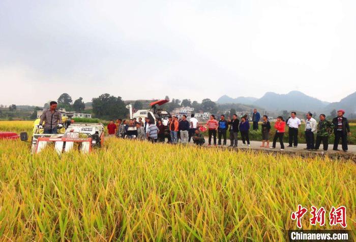 资料图 王妮娜 摄