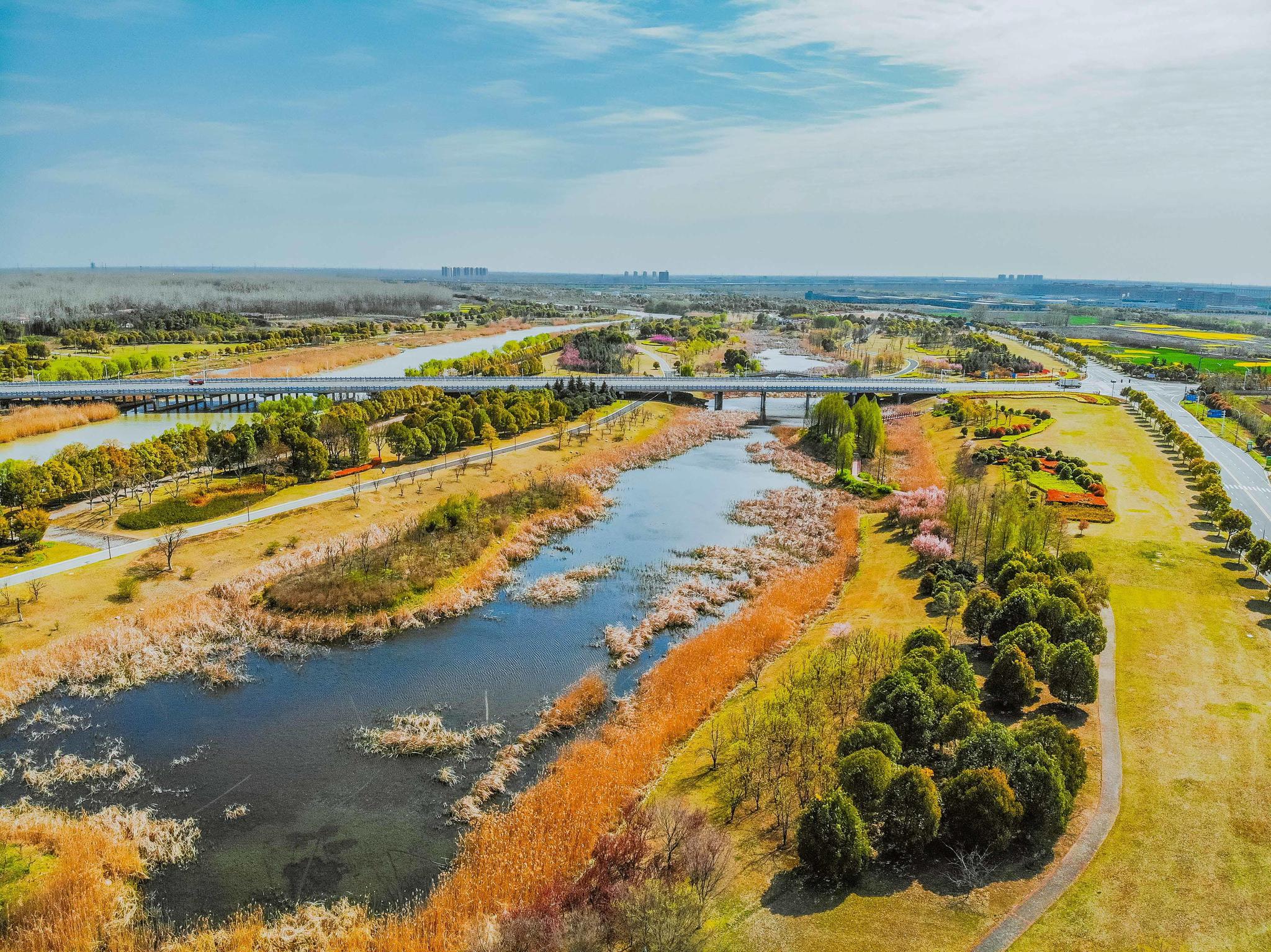 白马湖网站建设_(白马湖网站建设方案)