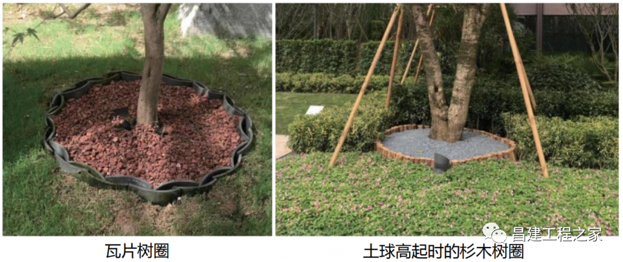 小区景观这样施工,绝对让客户赞不绝口!|乔木|灌木|苗木_新浪新闻