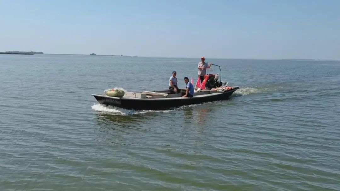 九月金秋东平湖开,船上人家干起撒网捕鱼老营生.