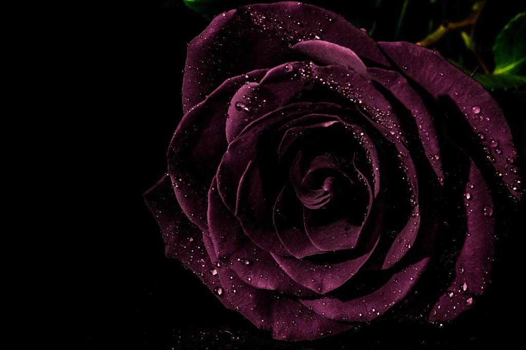 算命的说,这三大生肖女命里福气多,老公疼爱,儿女有出息!