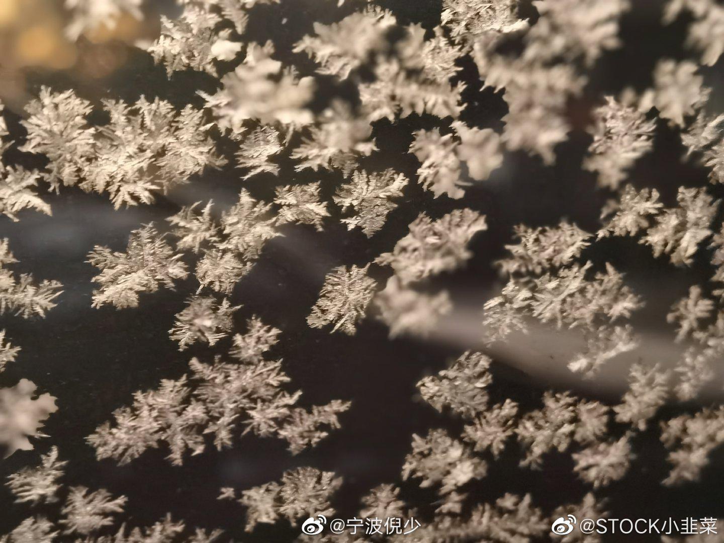 投稿:早上起来的车窗玻璃上的冰花