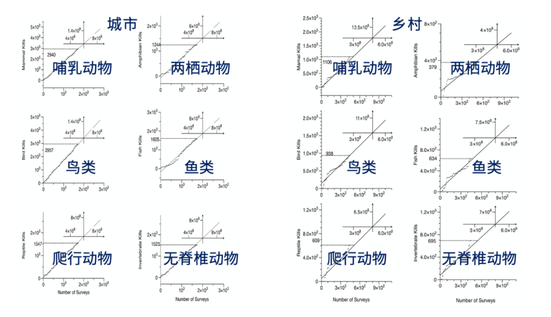 所以总的来说,在中国,流浪猫每年捕杀的野生动物是以百亿为单位的