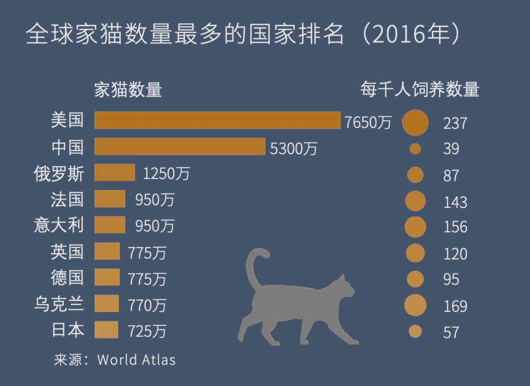 所以总的来说,在中国,流浪猫每年捕杀的野生动物是以百亿为单位的