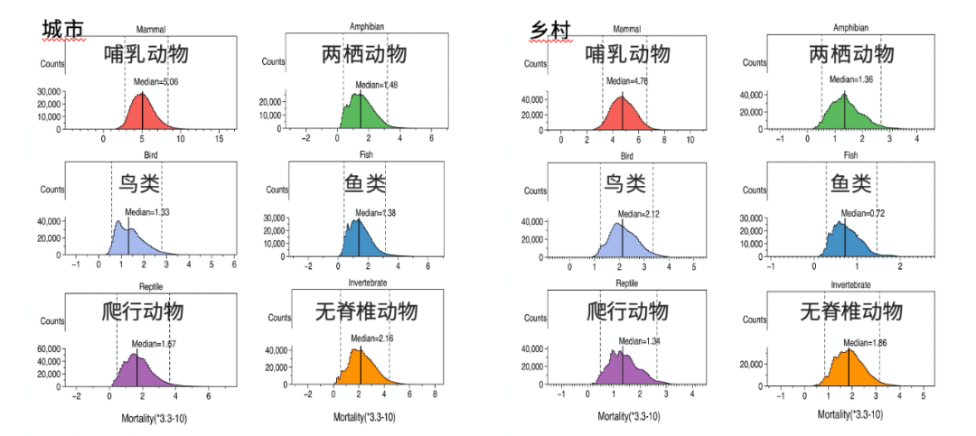 所以总的来说,在中国,流浪猫每年捕杀的野生动物是以百亿为单位的