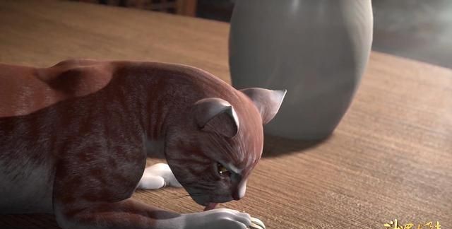 《斗罗大陆》上演"宫心计",猫咪实力抢镜,小家伙有点意思