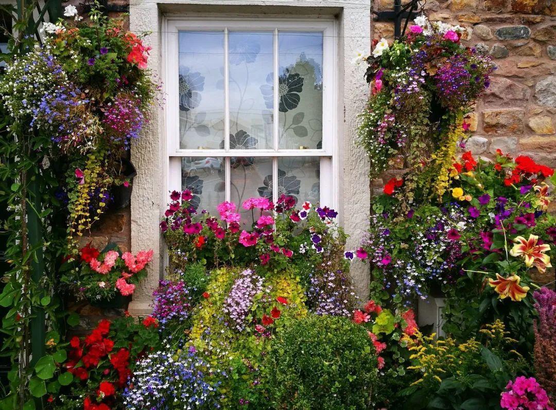 我想有一个,开满花的窗台,每天赏花!