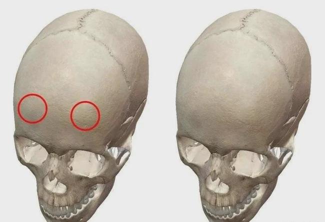 最新野生混血脸美炸天,衬得一脸卑微的女明星们黯然失色…|骨相|审美|