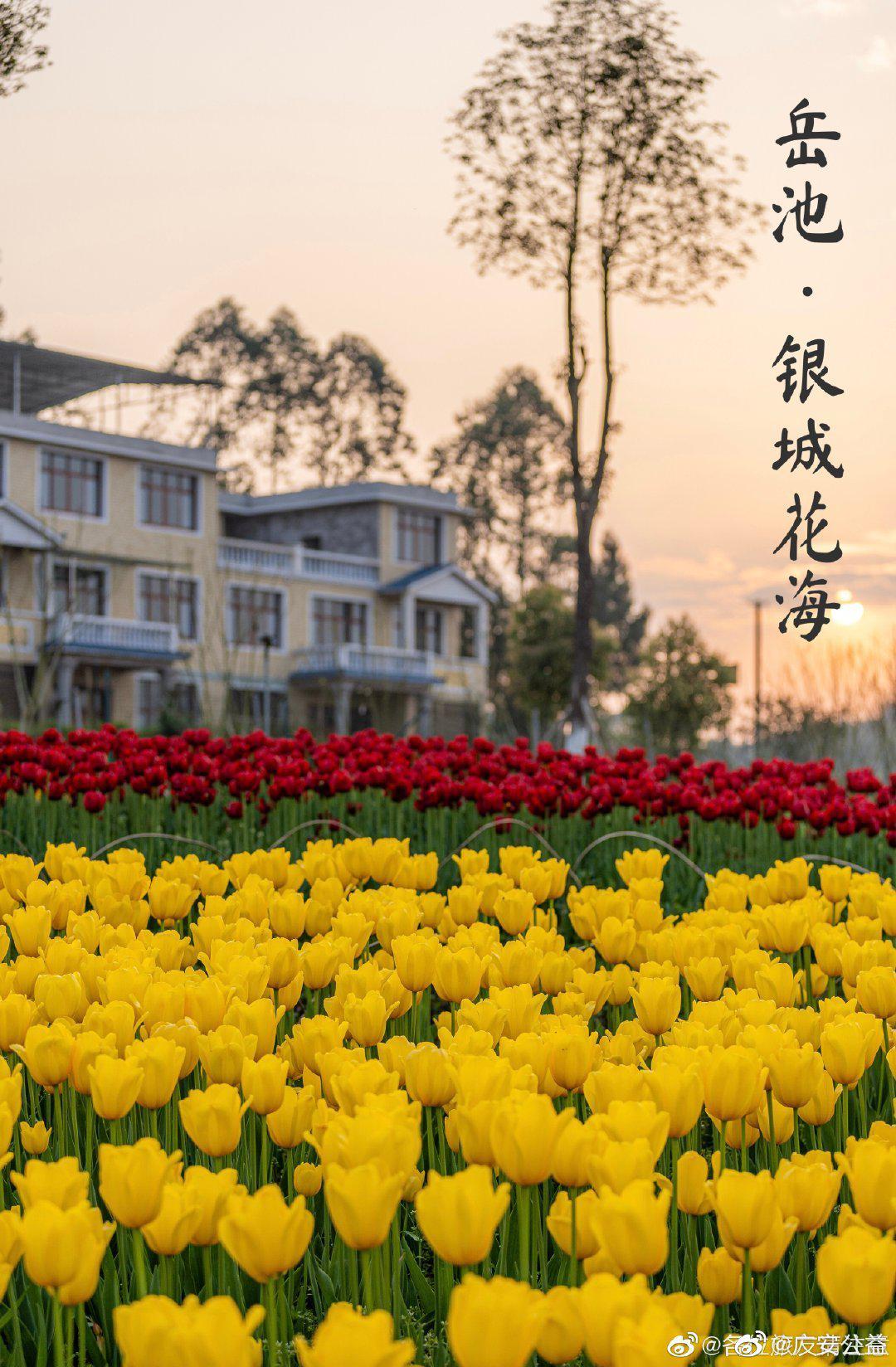 畅游四季广安,体验美好生活