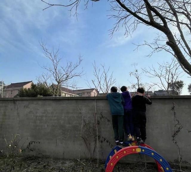 邓超一家摘草莓孙俪穿棉拖开电三轮车10岁等等和小伙伴爬墙头