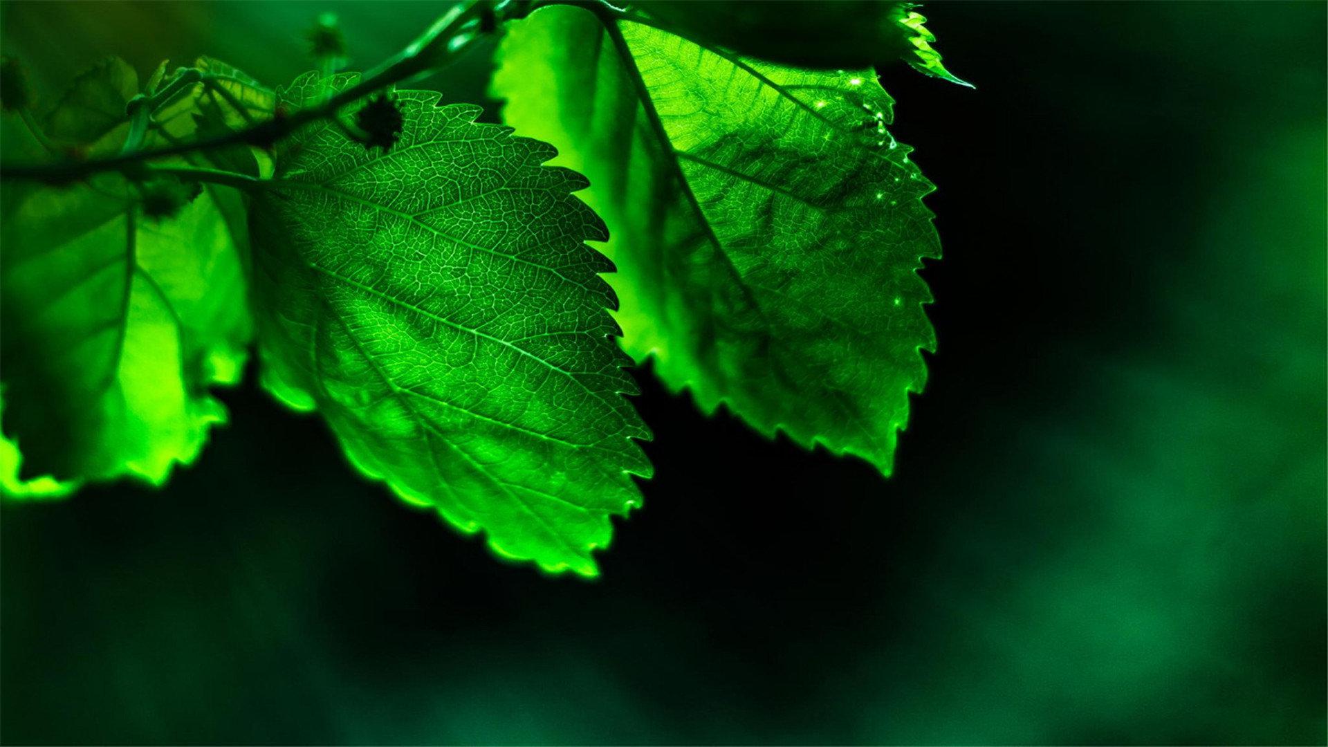 生活中很多人秉承踏踏实实做人吃亏在前享乐在后的处世法则