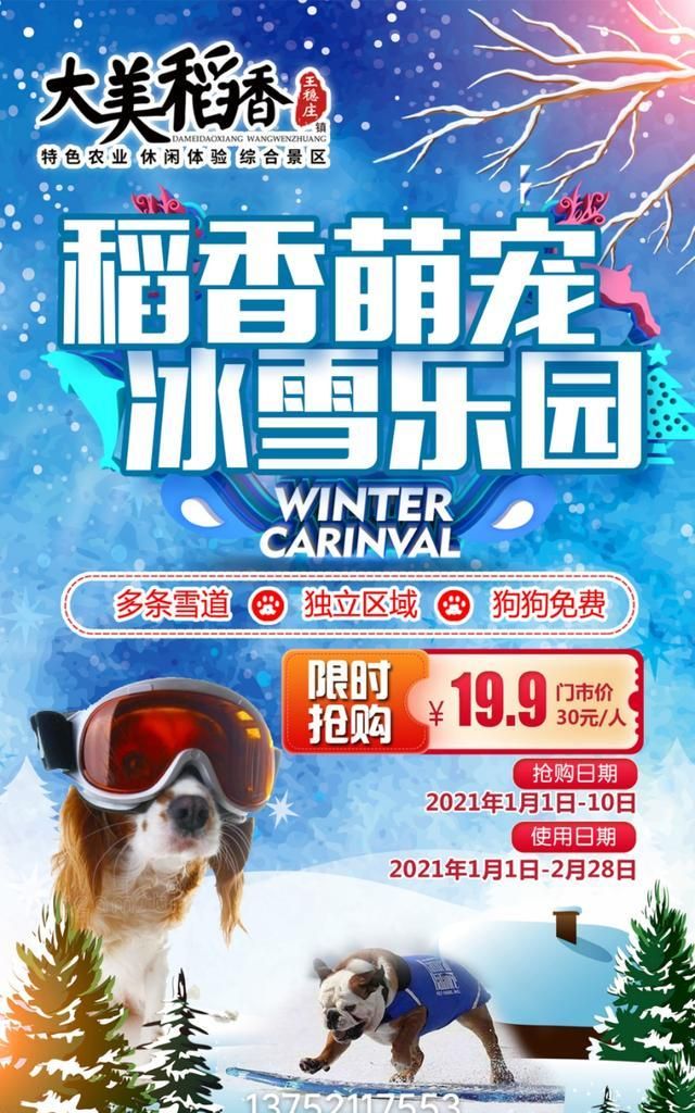 天津能带宠物的公园狗狗宠物乐园