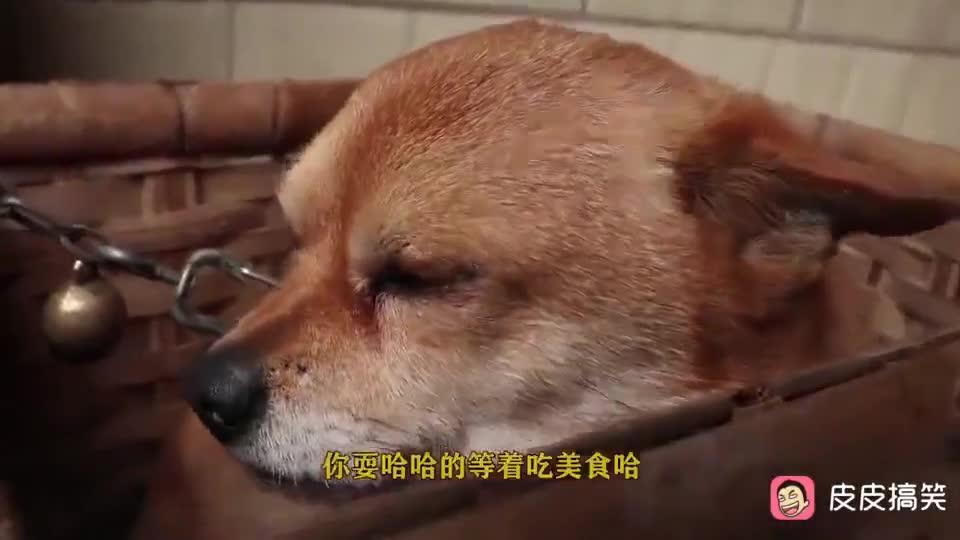 的家人和律师出席记者会…… 00:10 这个视频只有聪明的人能看懂 01:2
