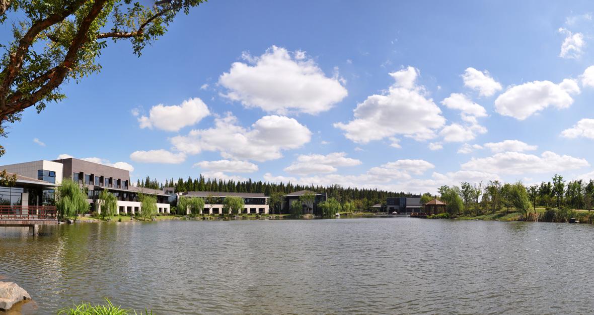 中国第三大岛屿就在上海,历经千年形成,一部分却归江苏管|沙洲|崇明岛